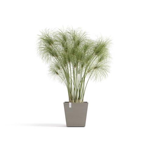 ecopots-rotterdam-25-pot-carr-taupe-avec-r-servoir-d-eau-25-2-x-25-2-x-h-24-5-cm image 7