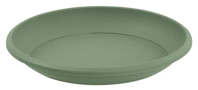 eda-osaka-soucoupe-ronde-15-cm-vert-laurier image 1