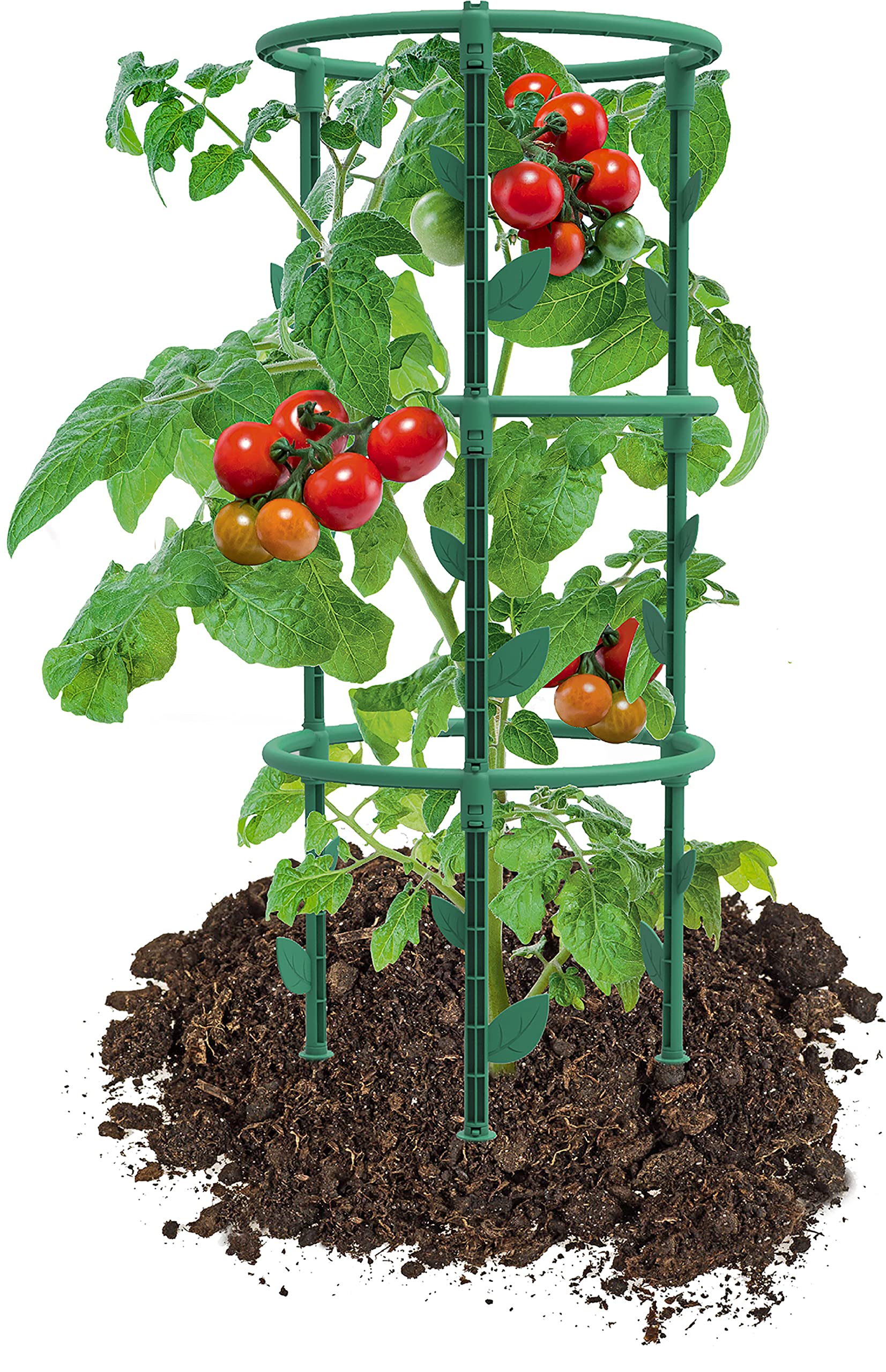 eda-veg-table-tuteur-pour-plantes-grimpantes-rond-25-x-h-66-3-cm-vert-canada image 4