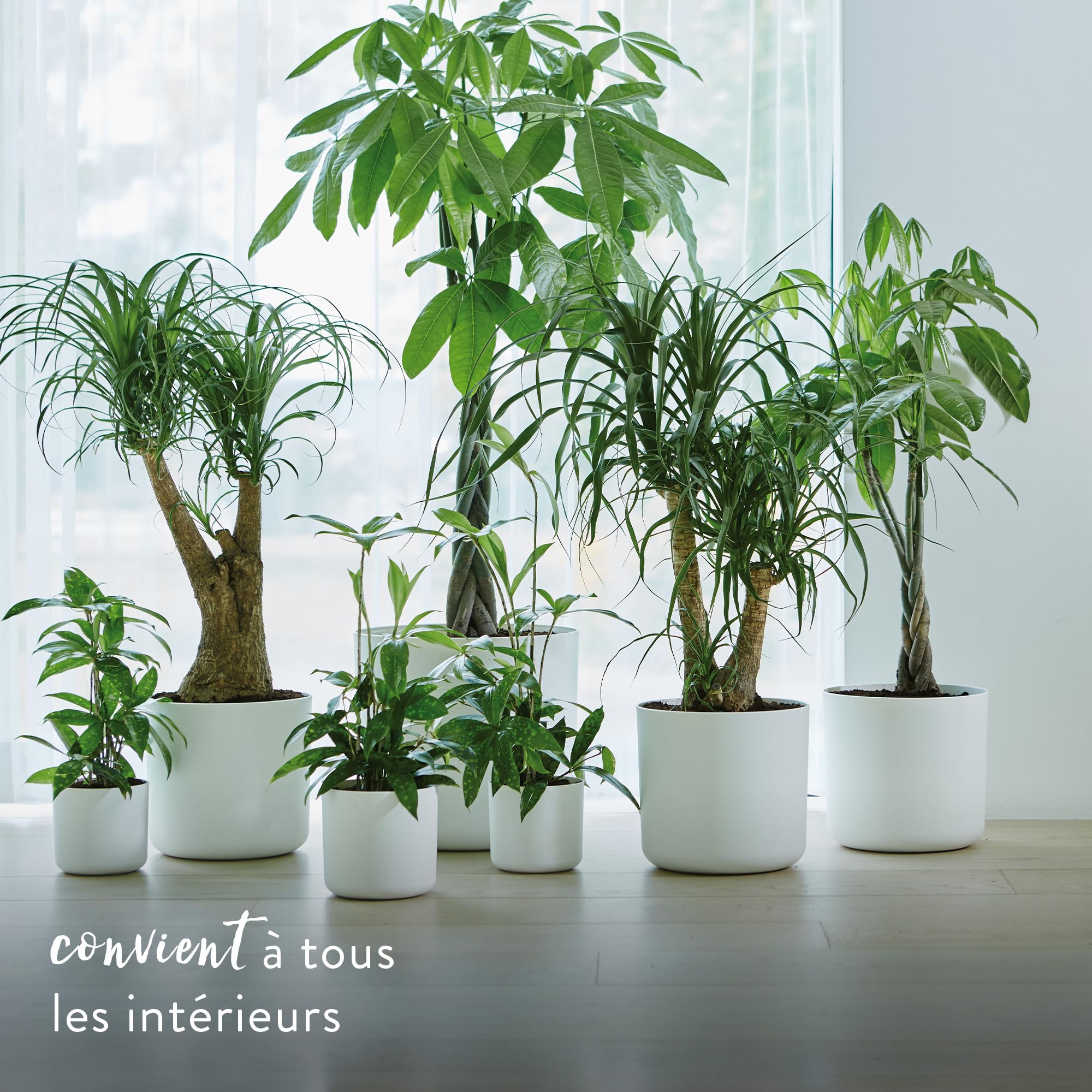 elho-b-for-soft-rond-lot-3-cache-pots-14-16-18-cm-blanc image 3