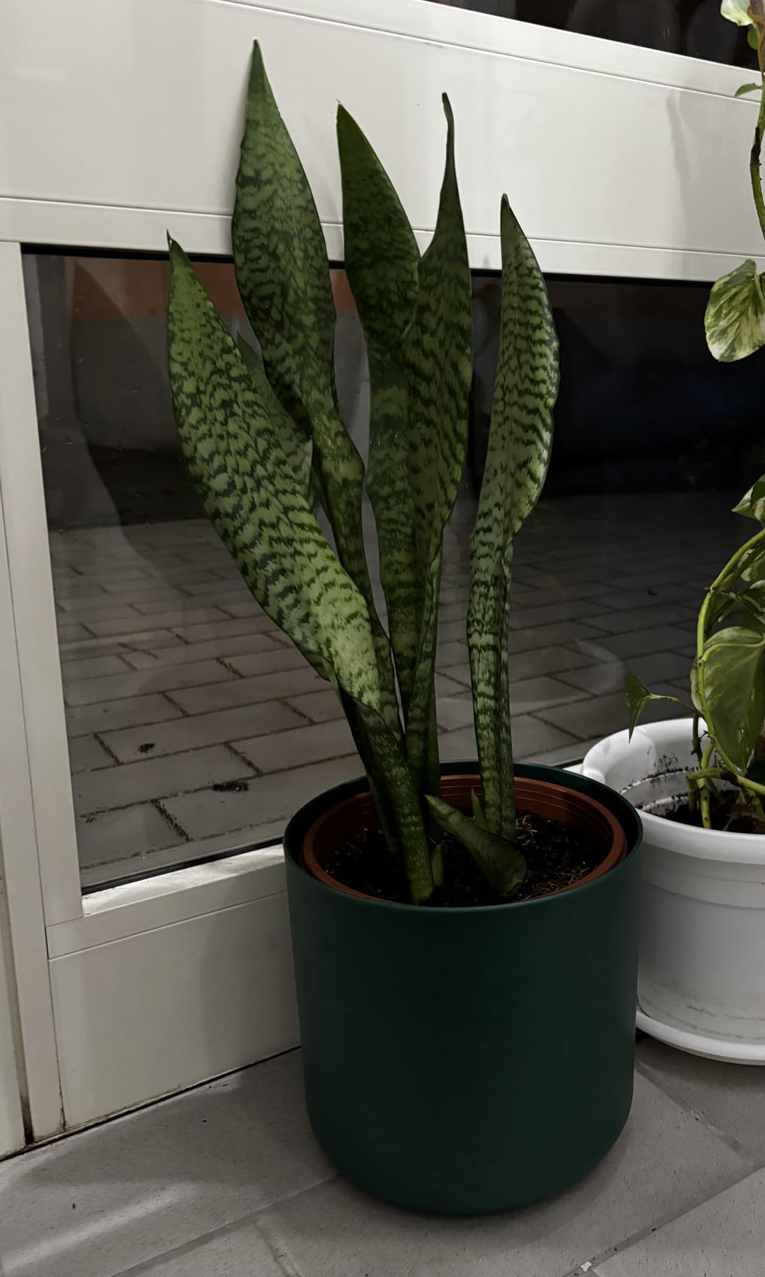 L'océan dans mon salon