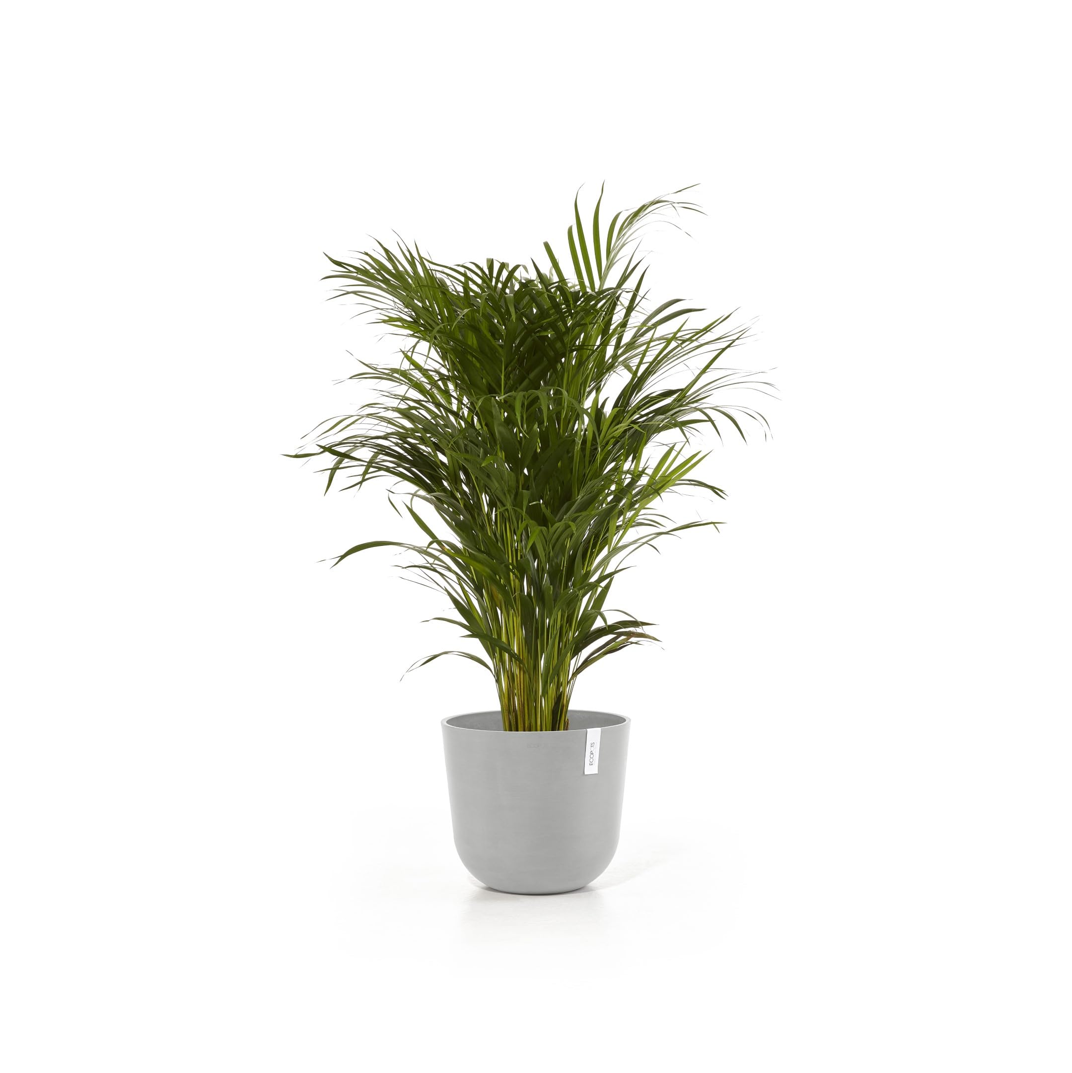 ecopots-oslo-35-pot-rond-blanc-gris-avec-r-servoir-d-eau-35-x-h-30-5-cm-21-7-l image 3