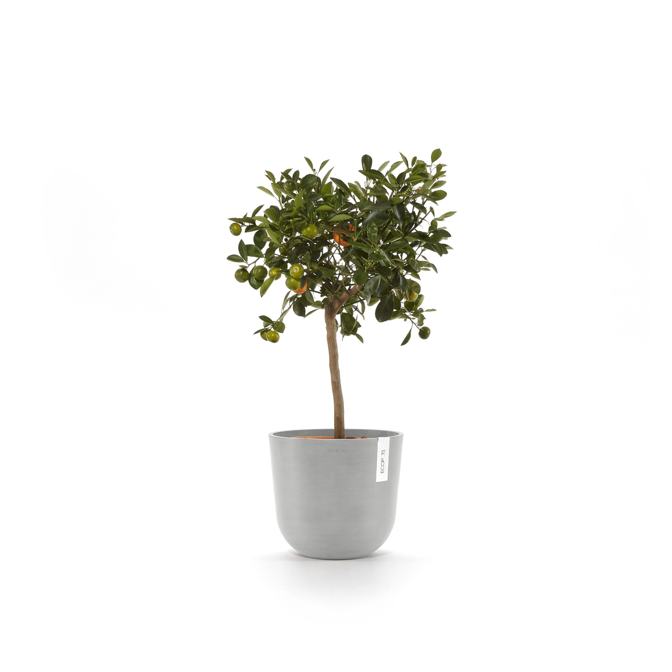 ecopots-oslo-25-pot-rond-blanc-gris-avec-r-servoir-d-eau-25-x-h-21-8-cm-7-7-l image 5