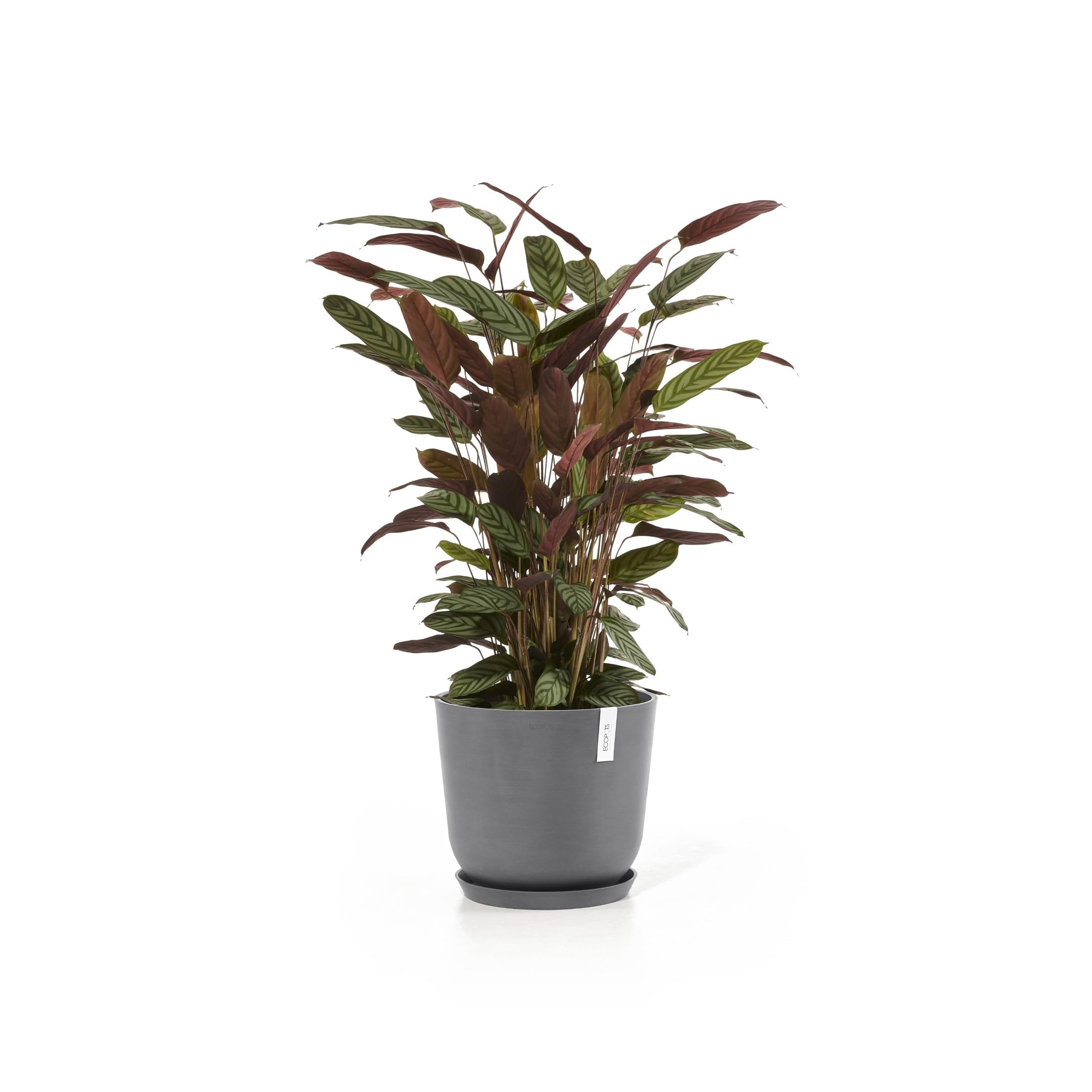 ecopots-oslo-35-pot-rond-avec-r-servoir-d-eau-gris-35-x-h-30-5-cm-21-7-l image 6