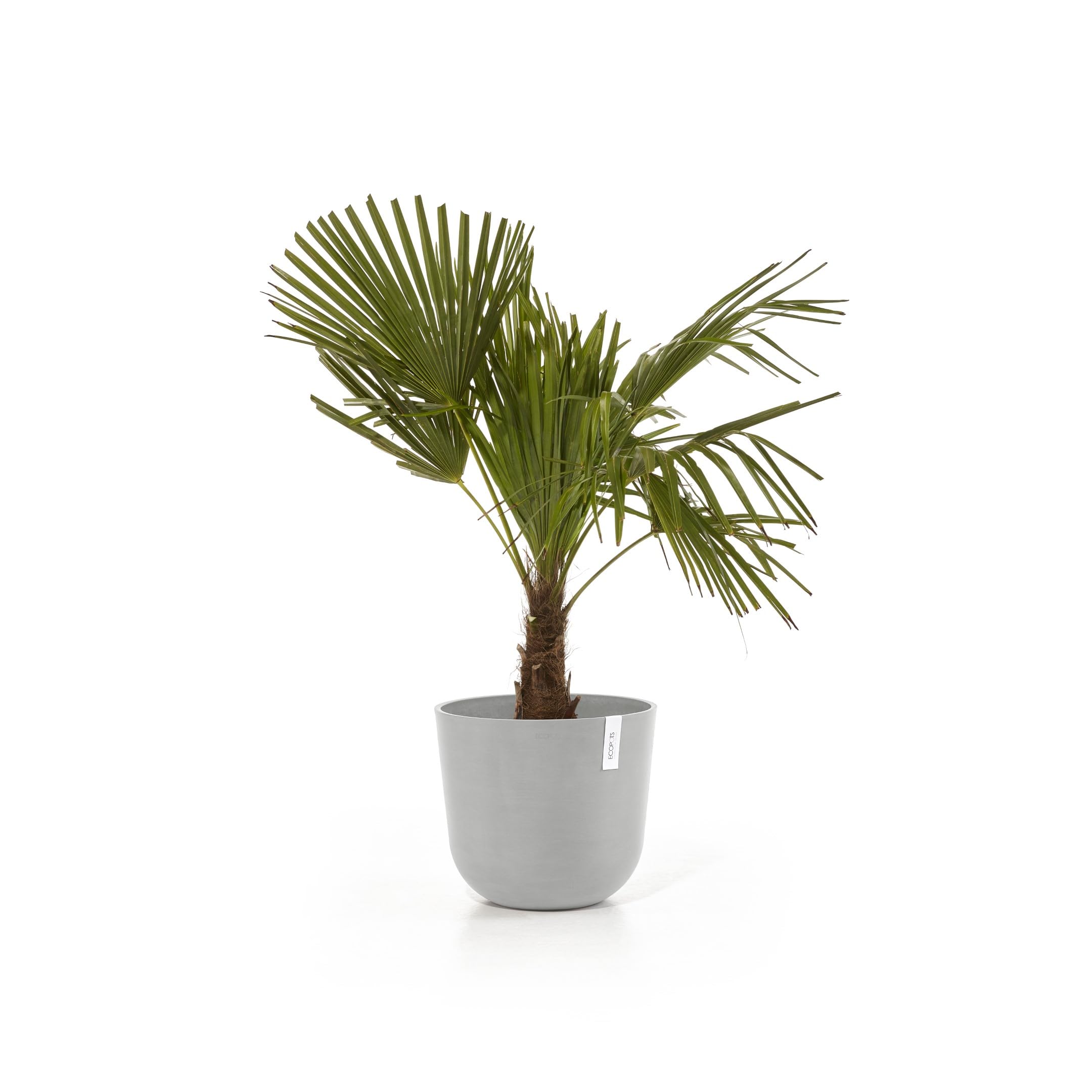 ecopots-oslo-35-pot-rond-blanc-gris-avec-r-servoir-d-eau-35-x-h-30-5-cm-21-7-l image 4