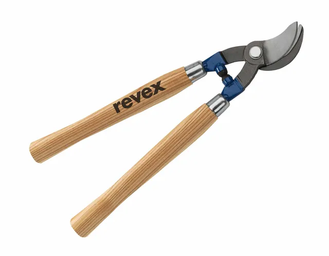 revex-s-cateur-laguer image 1