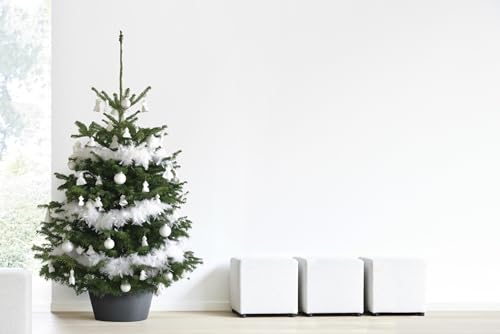 ecopots-support-sapin-de-no-l-xl-50-gris-fonc-50-x-h-24-cm-27-5-l image 8