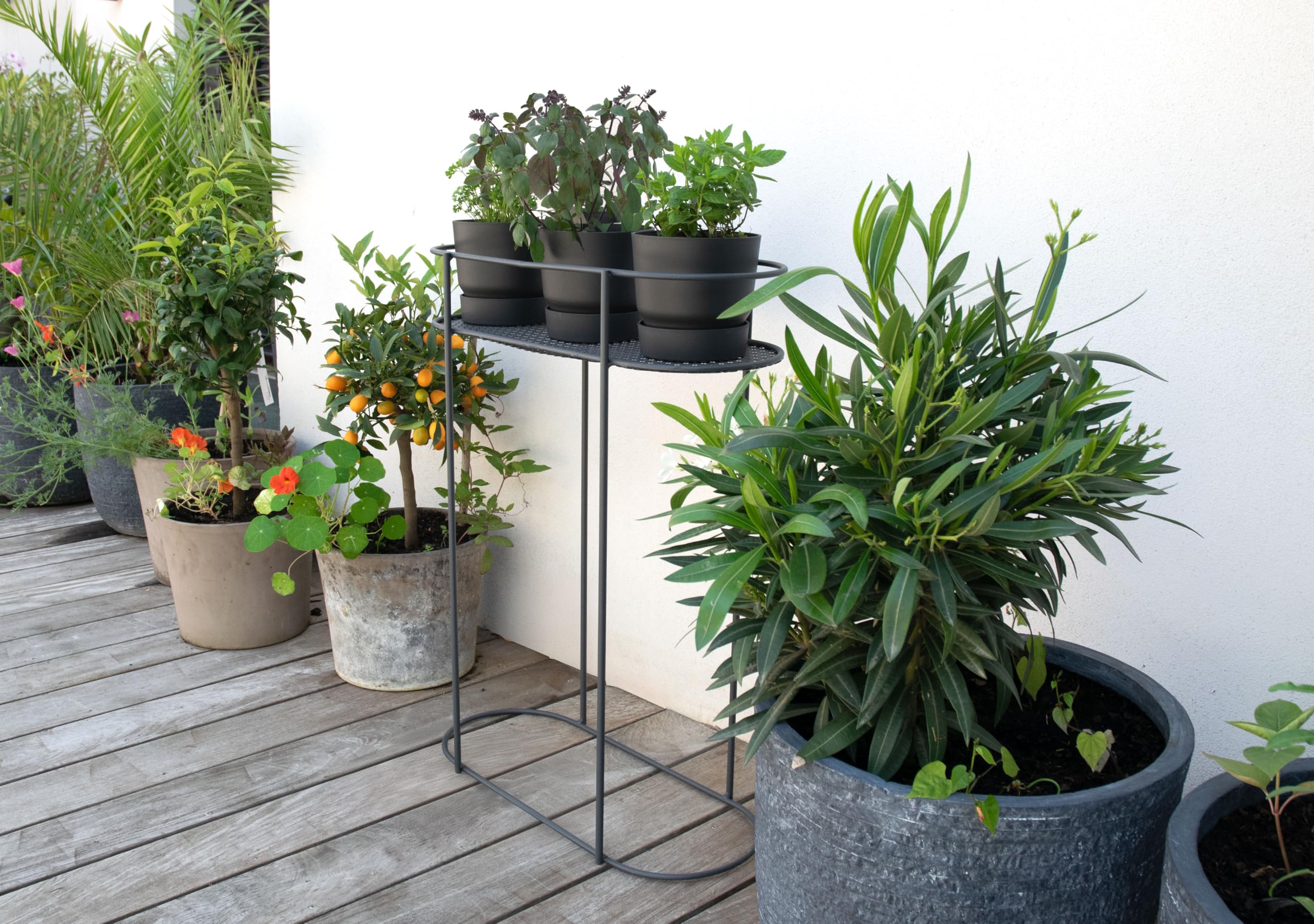 louis-moulin-support-plantes-et-aromatiques-sur-pieds-80-cm-anthracite-fabriqu-e image 3