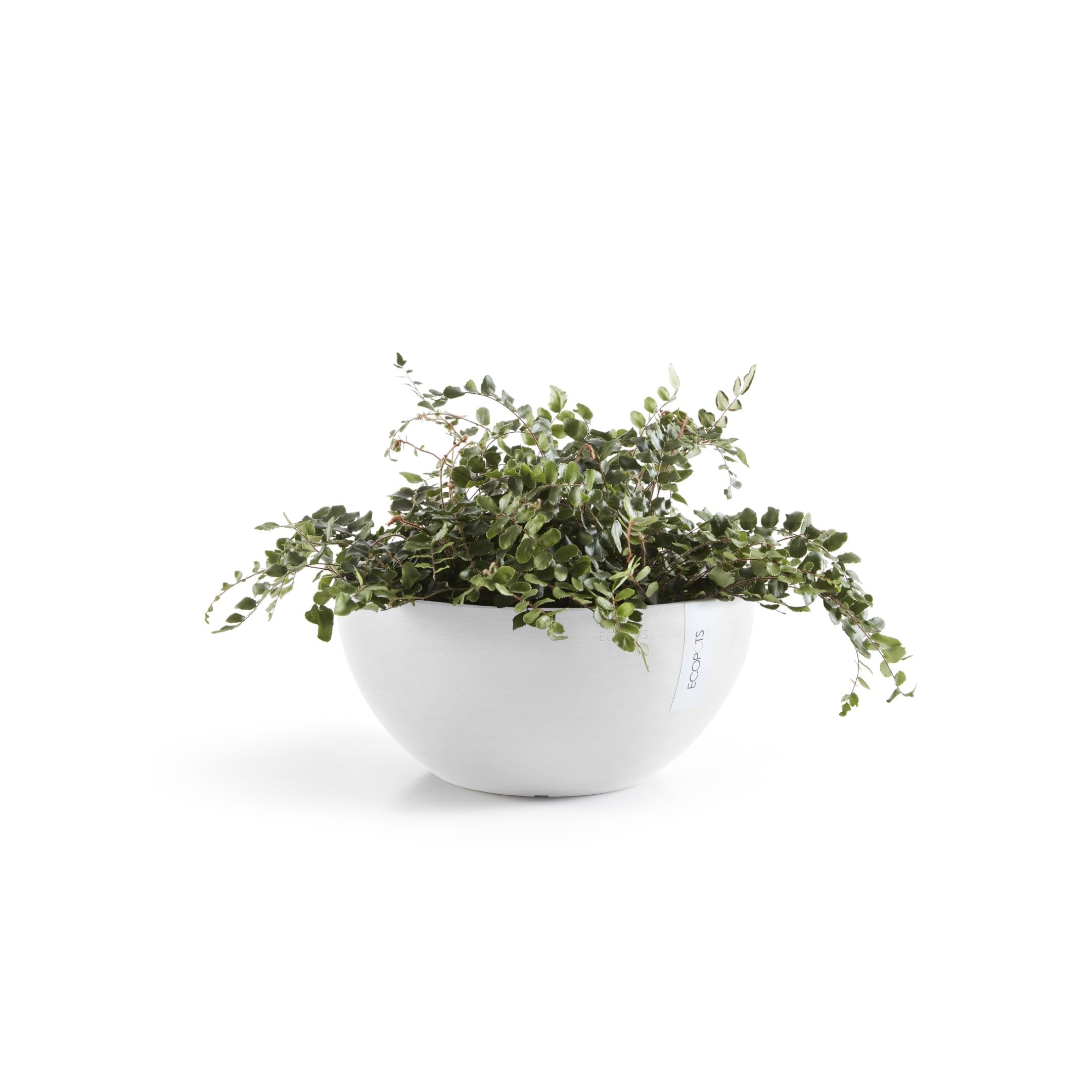 ecopots-brussels-30-pot-rond-blanc-pur-30-x-h-14-cm-6-5-l image 2