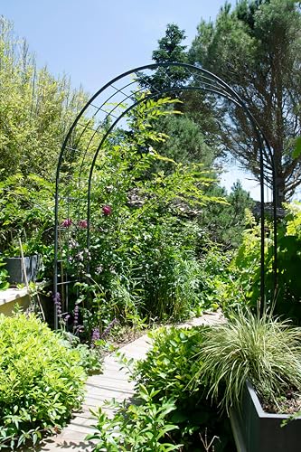 louis-moulin-treillage-arche-de-jardin-250-x-180-x-50-cm-anthracite image 7
