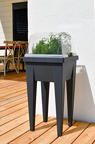eda-serre-de-culture-pour-veg-table-aromatique-37-6-x-37-x-h-21-6-cm-transparent image 8
