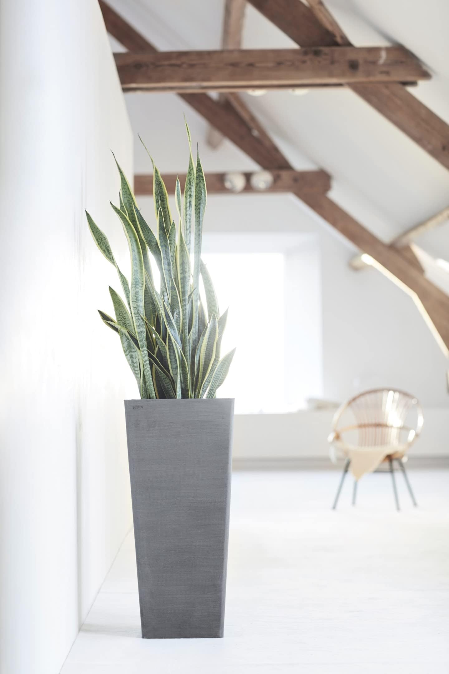 ecopots-rotterdam-high-56-pot-haut-carr-gris-31-x-31-x-h-56-cm-36-2-l image 3