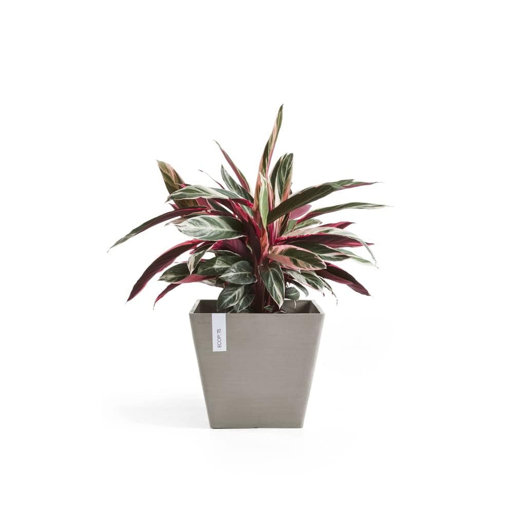 ecopots-rotterdam-pot-carr-50-cm-75-l-taupe image 2