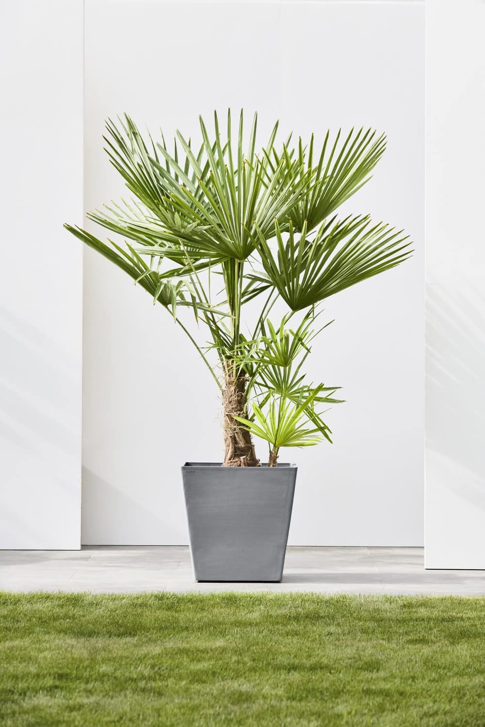 ecopots-rotterdam-grand-pot-sur-roues-50-gris-50-x-50-x-h-49-2-cm-76-3-l image 4