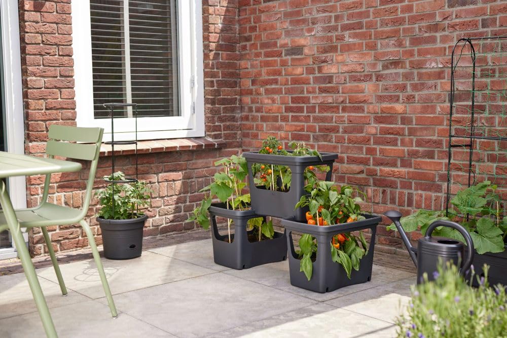 elho-green-basics-stack-grow-50-bac-de-culture-empiler-50-9-x-h-35-7-cm-living-n image 8
