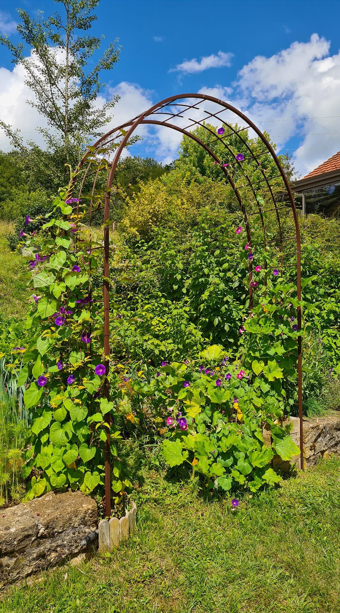 louis-moulin-3006-arche-plantes-grimpantes-m-tal-fer-vieilli-180-x-50-x-250-cm image 3