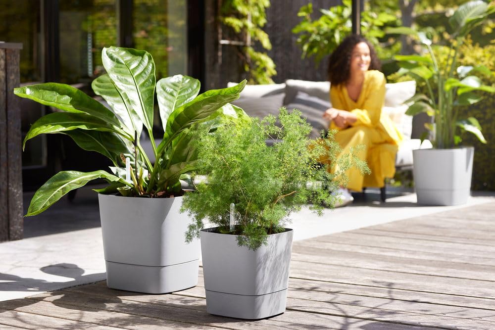 elho-greensense-aqua-care-carr-30-cm-ciment-clair-29-5-x-29-5-x-h-30-2-cm image 8