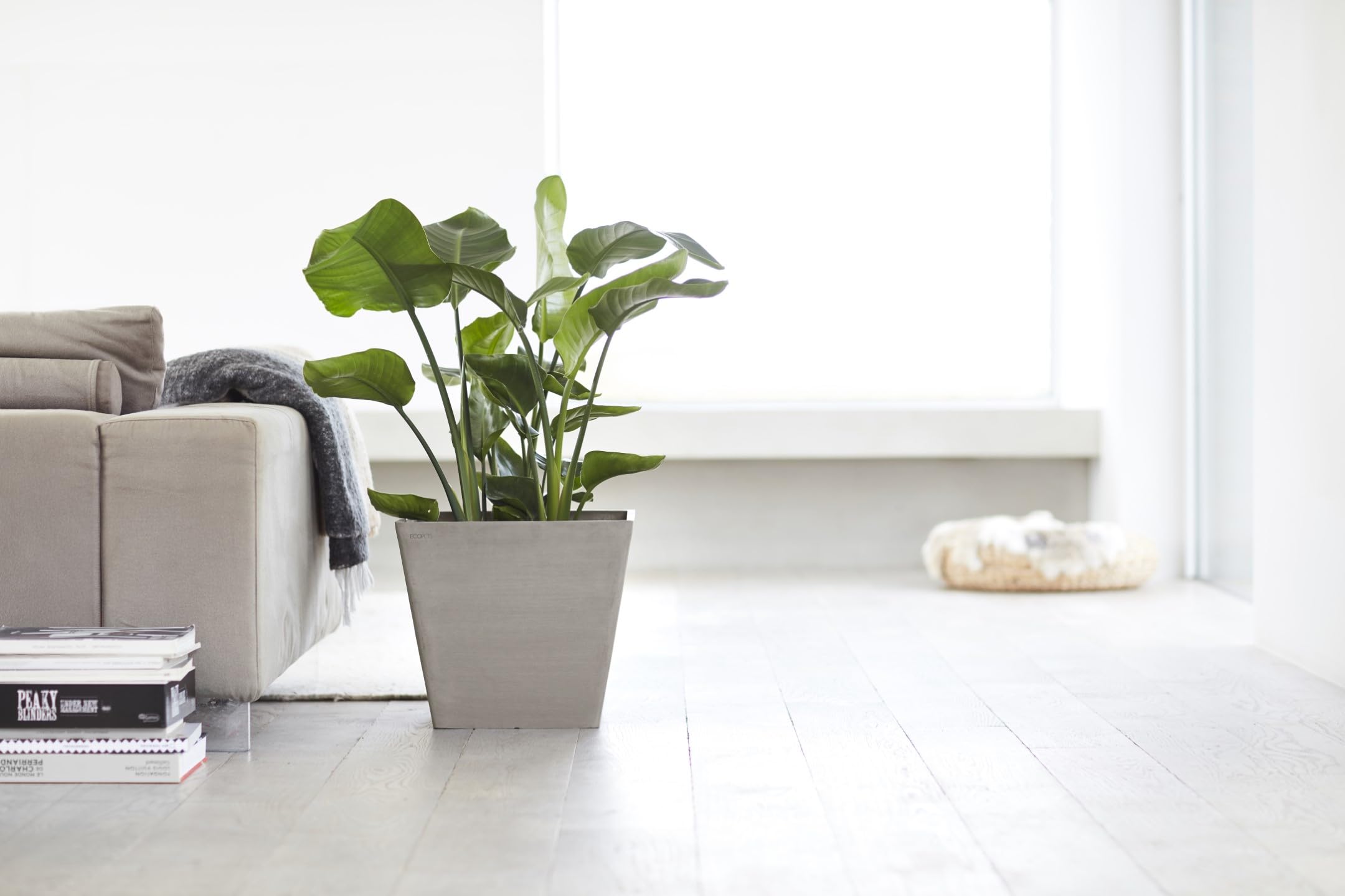ecopots-rotterdam-40-taupe-pot-carr-40-x-40-x-h-35-cm-37-6-l image 3