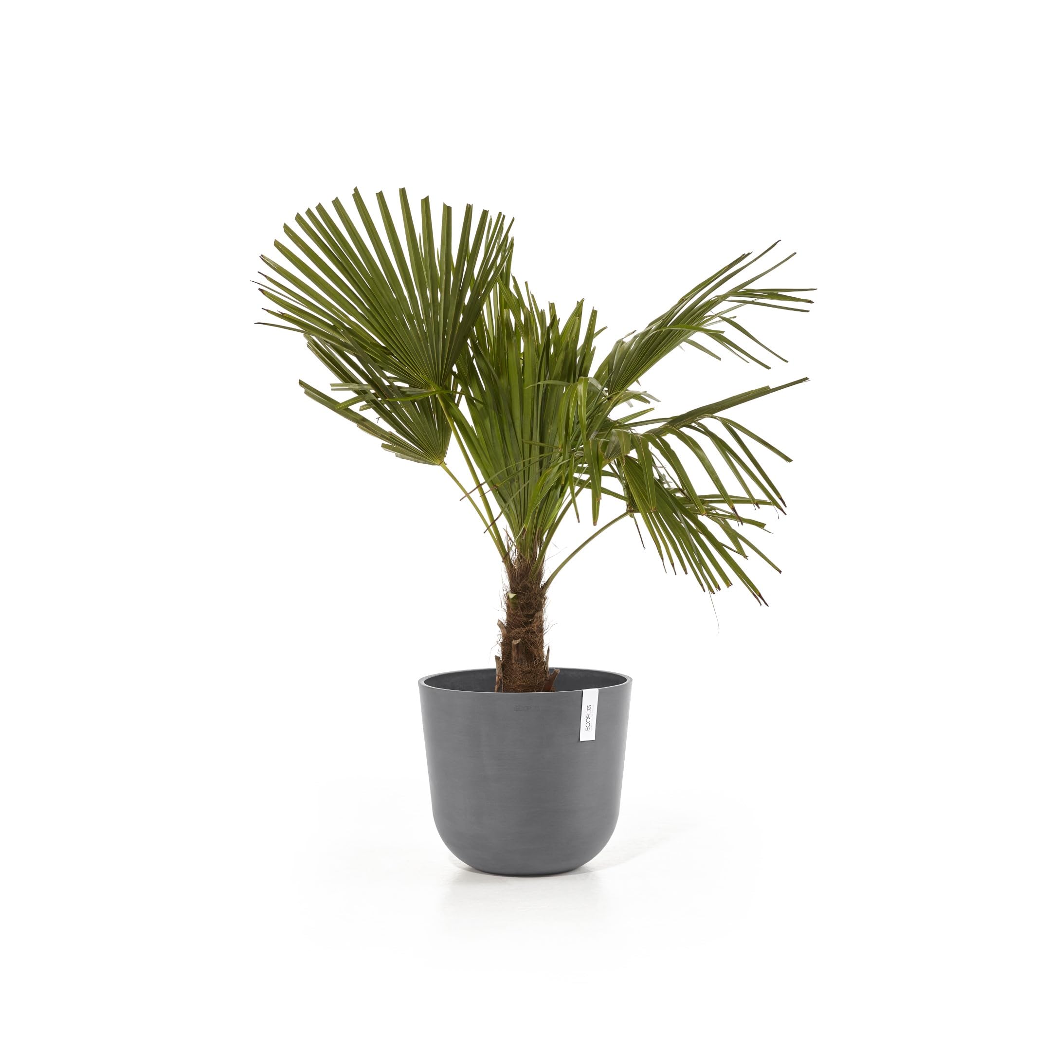 ecopots-oslo-35-pot-rond-avec-r-servoir-d-eau-gris-35-x-h-30-5-cm-21-7-l image 4