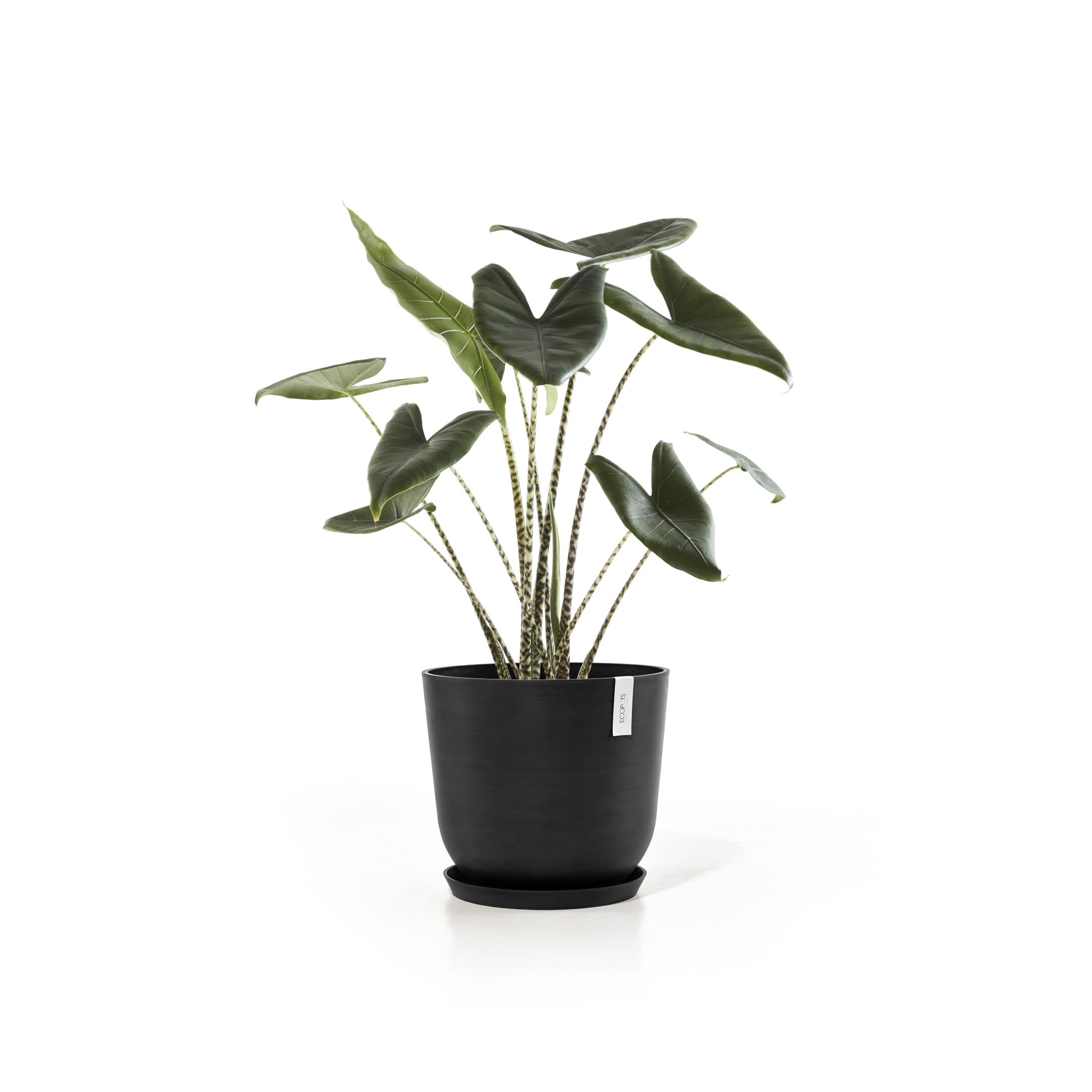 ecopots-pot-rond-oslo-45-gris-fonc-r-servoir-d-eau-45-x-h-39-2-cm-46-6-l image 8