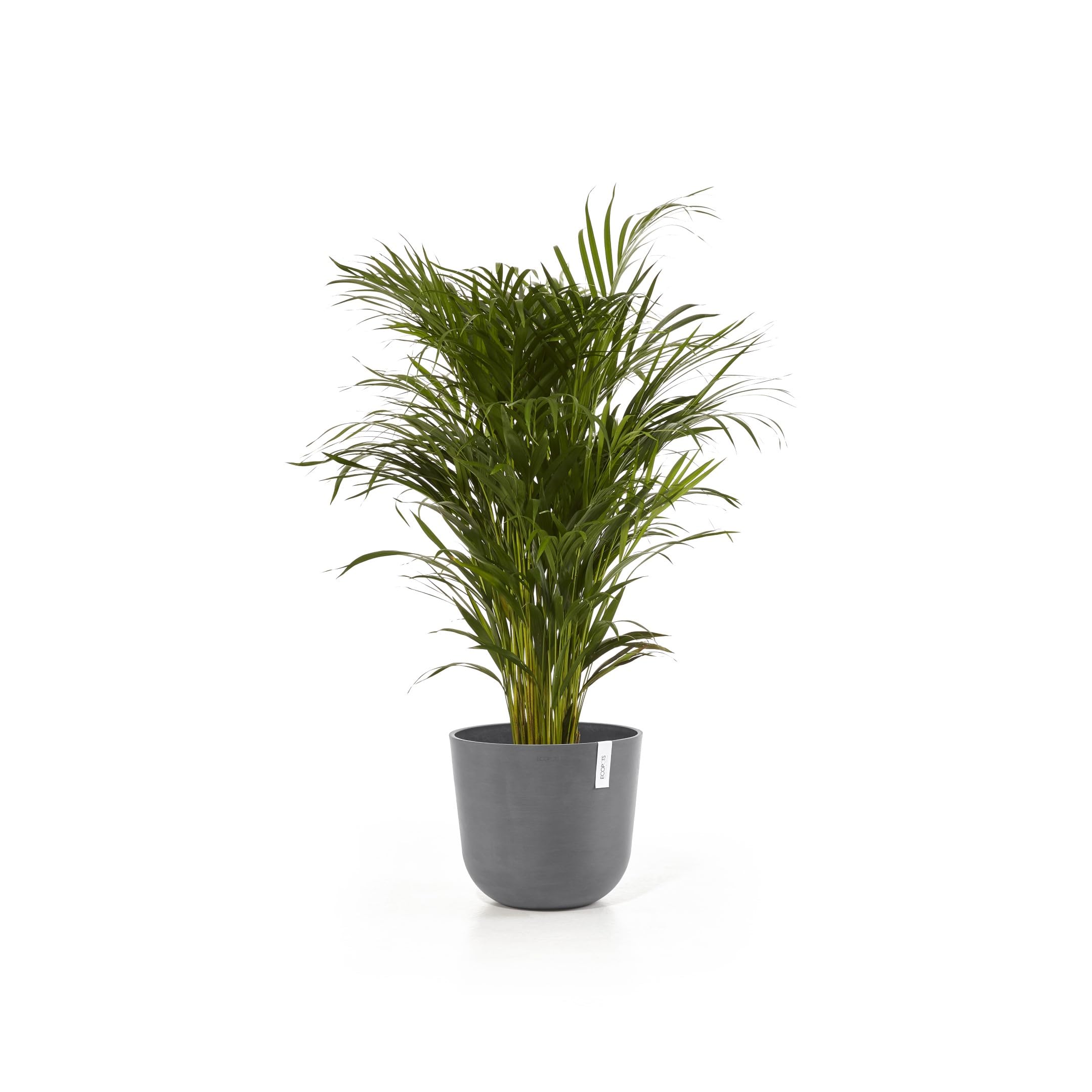 ecopots-oslo-35-pot-rond-avec-r-servoir-d-eau-gris-35-x-h-30-5-cm-21-7-l image 3