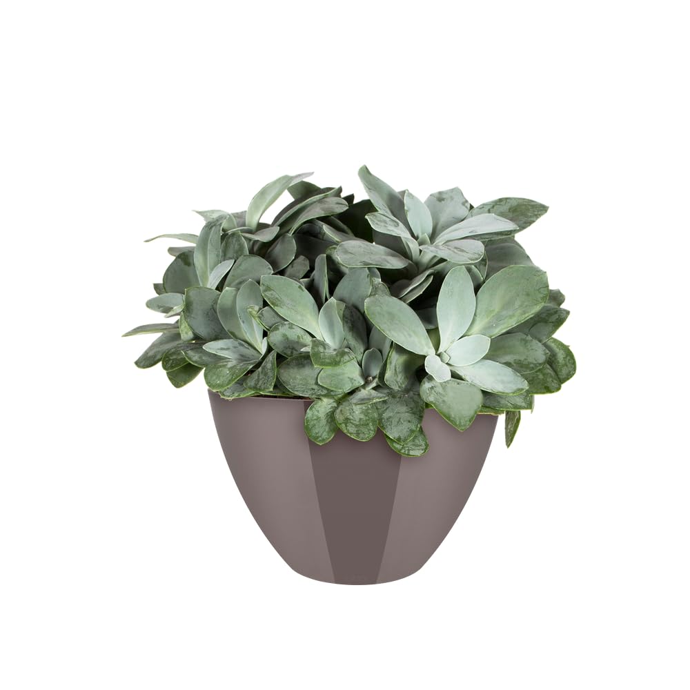 elho-brussels-diamond-ovale-haut-36-cm-gris-perle-plastique-recycl image 6