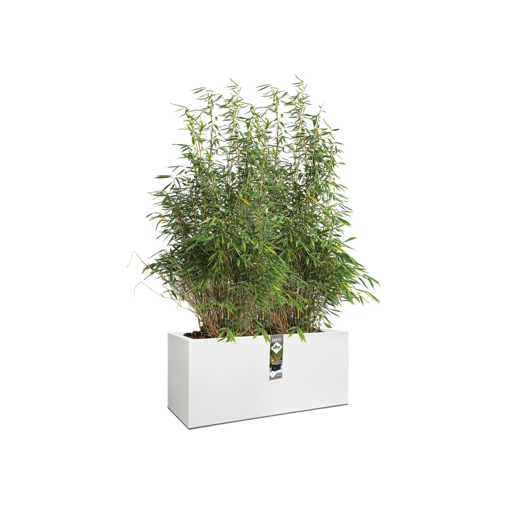 elho-vivo-long-balconni-re-avec-roues-90-cm-blanc image 3