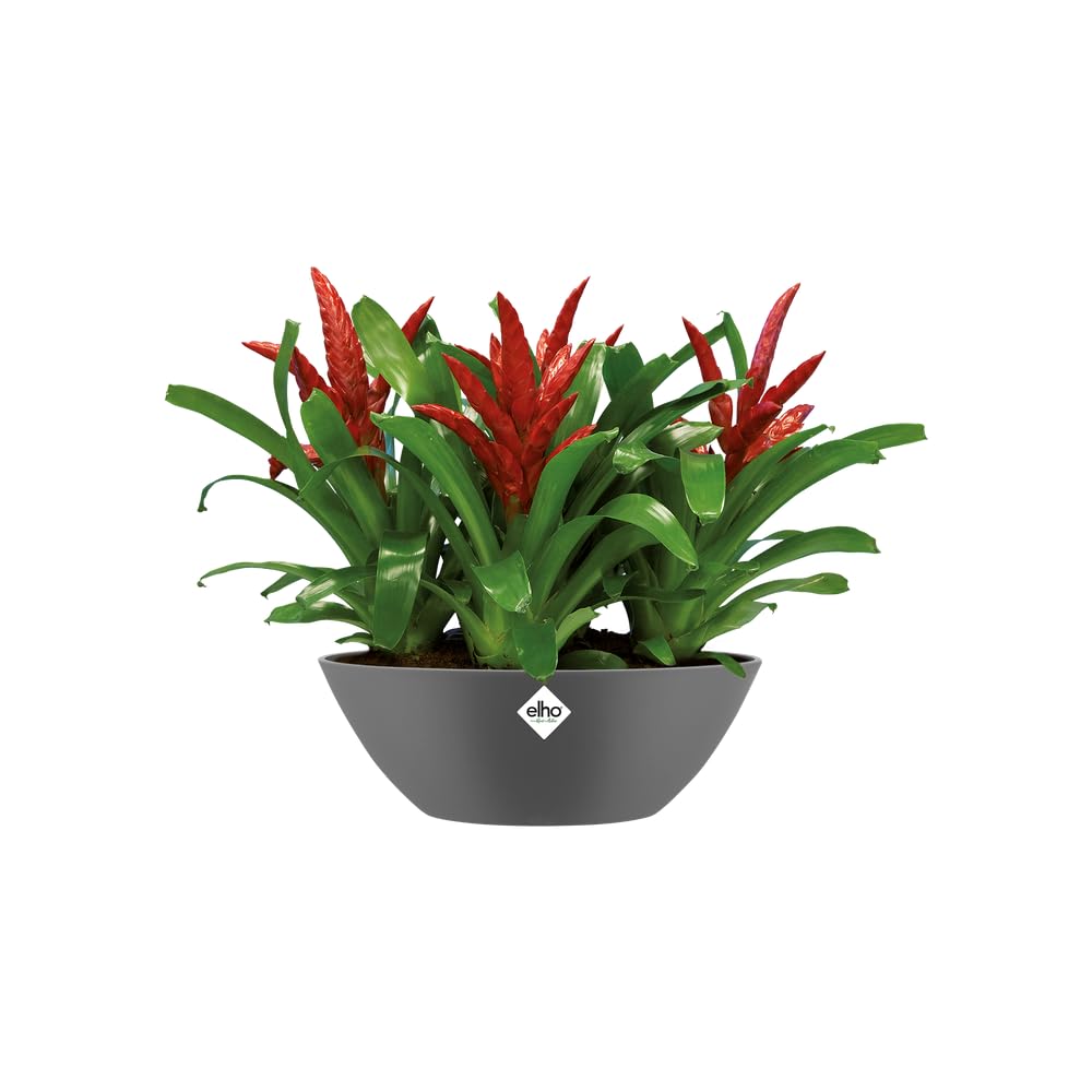 elho-brussels-ovale-20-pot-de-fleurs-int-rieur-noir-anthracite-20-2-x-h-10-5-cm image 3