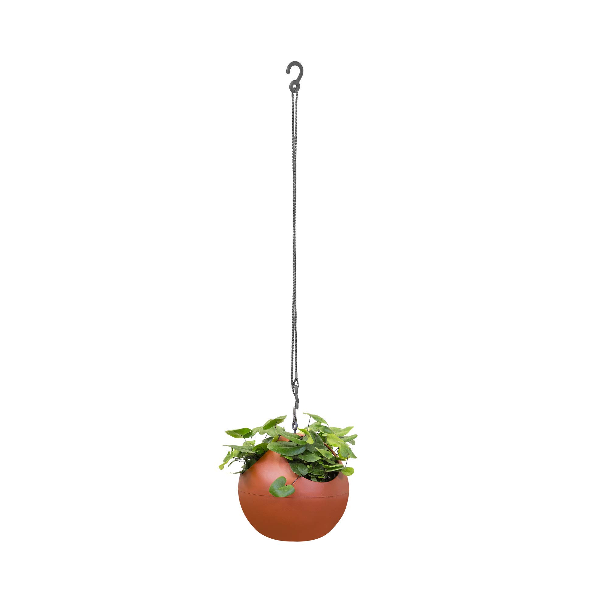 elho-b-for-soft-air-18-pot-suspendu-18-cm-marron-brique image 8