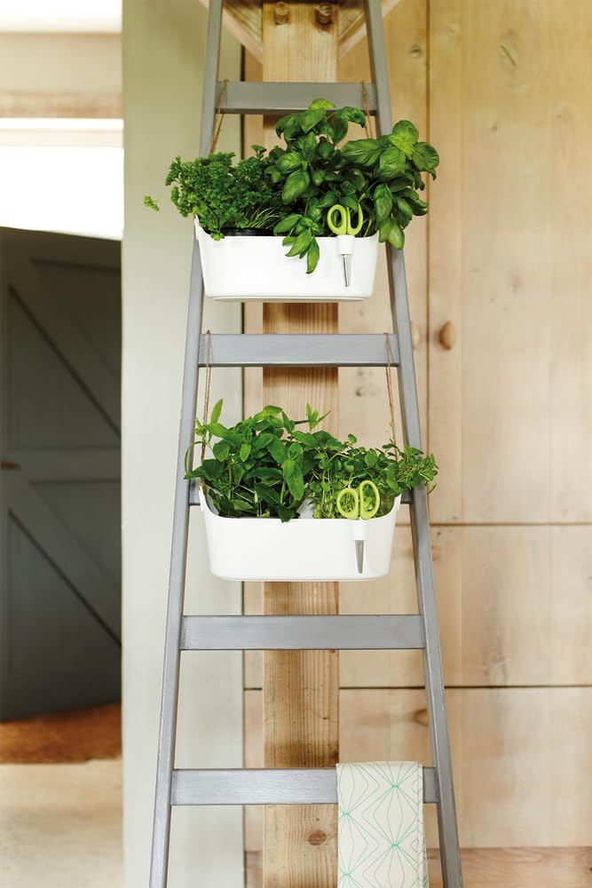 elho-brussels-herbes-station-30-blanc-support-herbes-aromatiques-ciseaux image 8