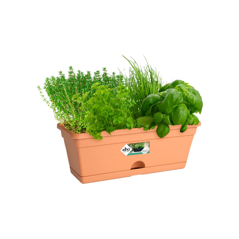 elho-green-basics-balconni-re-mini-30-cm-mild-terra image 3