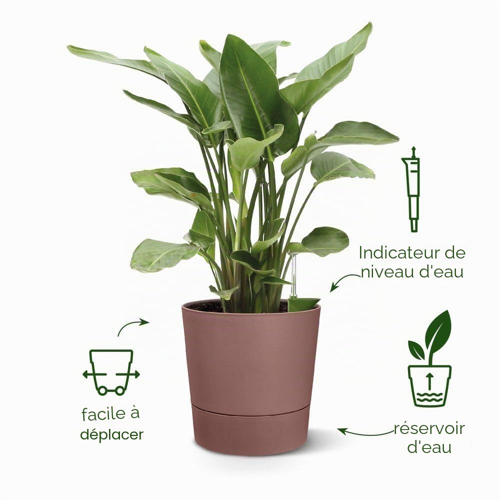 elho-greensense-aqua-care-rond-30cm-pot-de-fleur-ciment-clair image 2