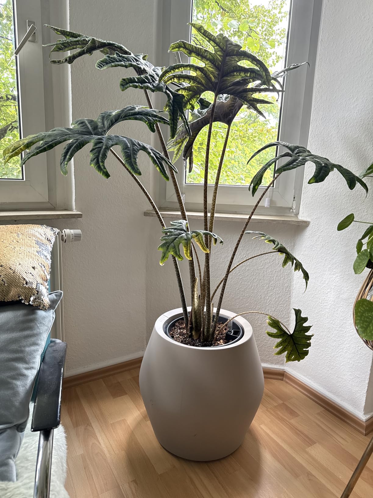 Coup de cœur déco de l'année