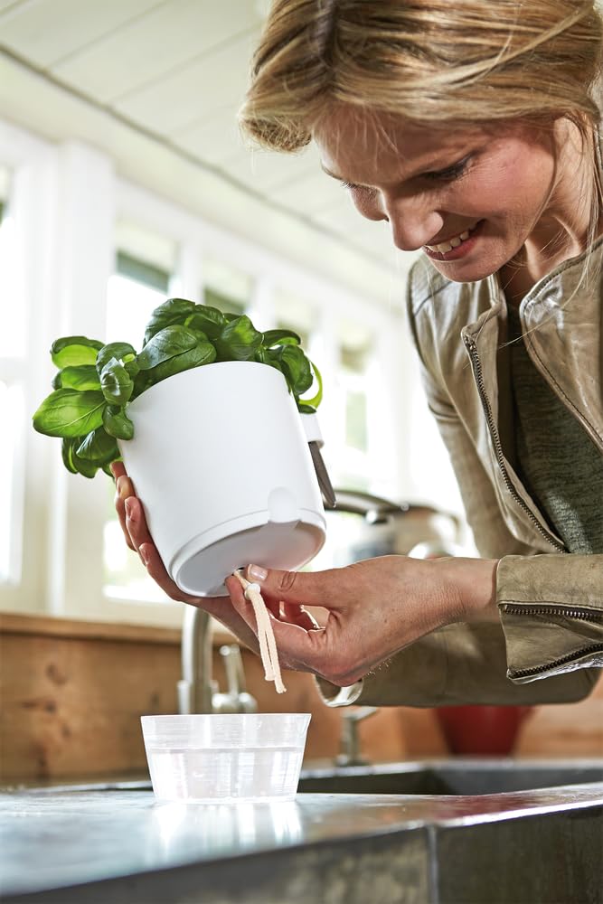 elho-brussels-all-in-1-pot-herbes-13-cm-blanc image 6
