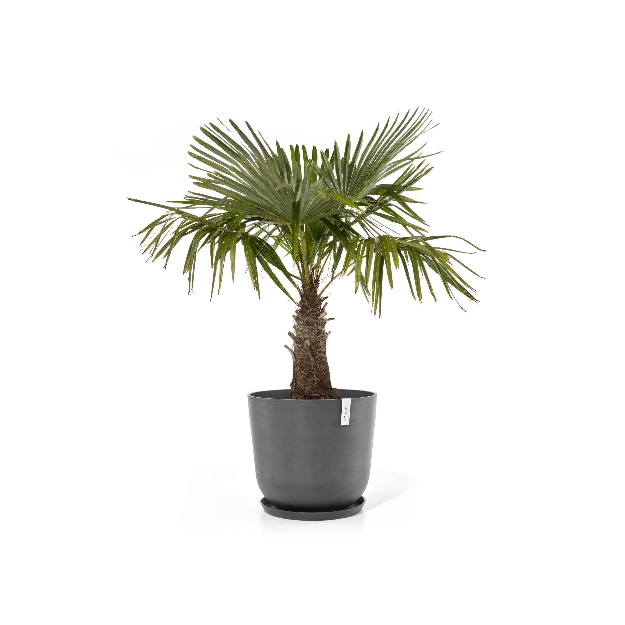 ecopots-oslo-55-pot-rond-avec-r-servoir-d-eau-gris-55-x-h-47-9-cm-85-6-l image 5