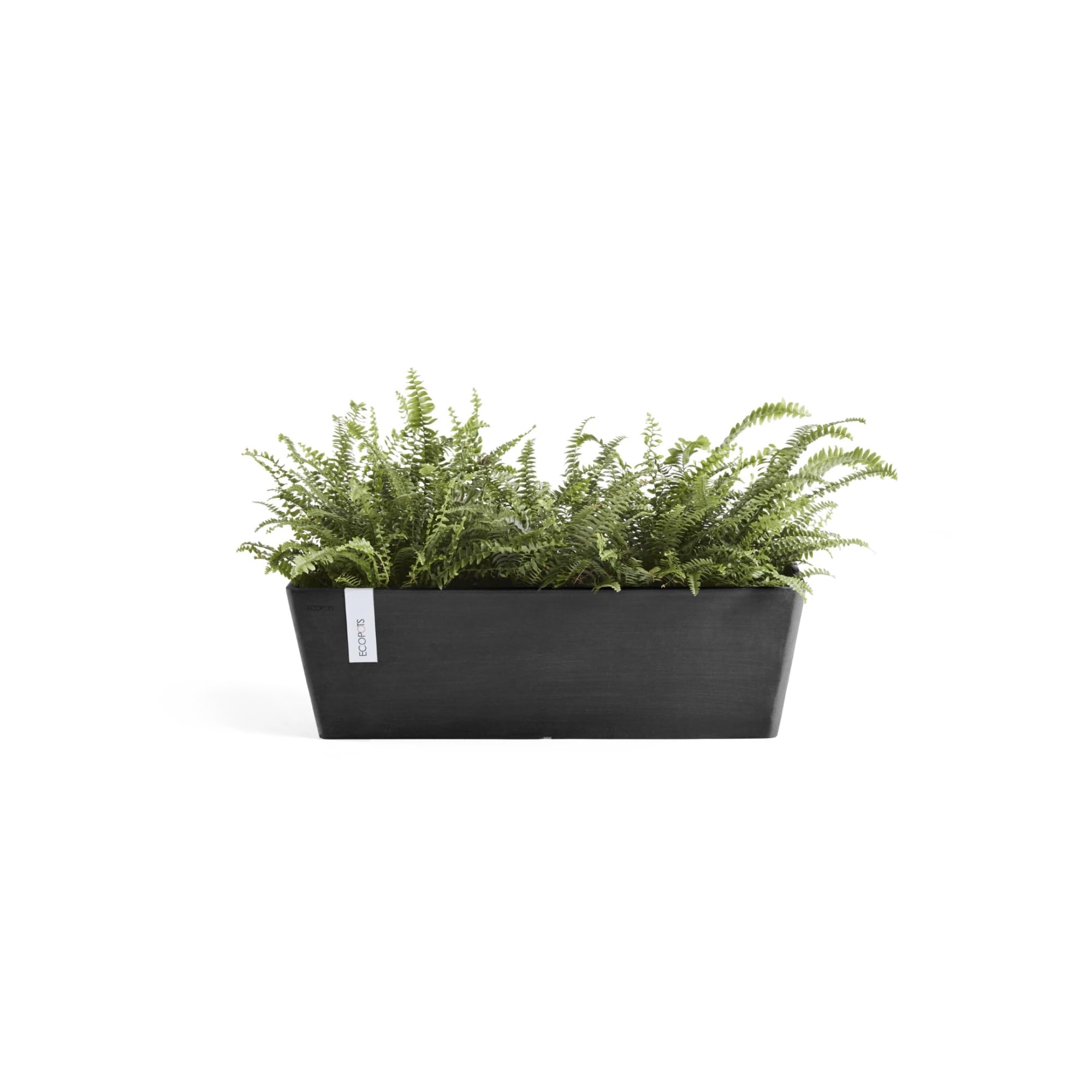 ecopots-bruges-jardini-re-rectangulaire-55-cm-gris-fonc-55-x-17-x-h-17-cm-12-l image 4