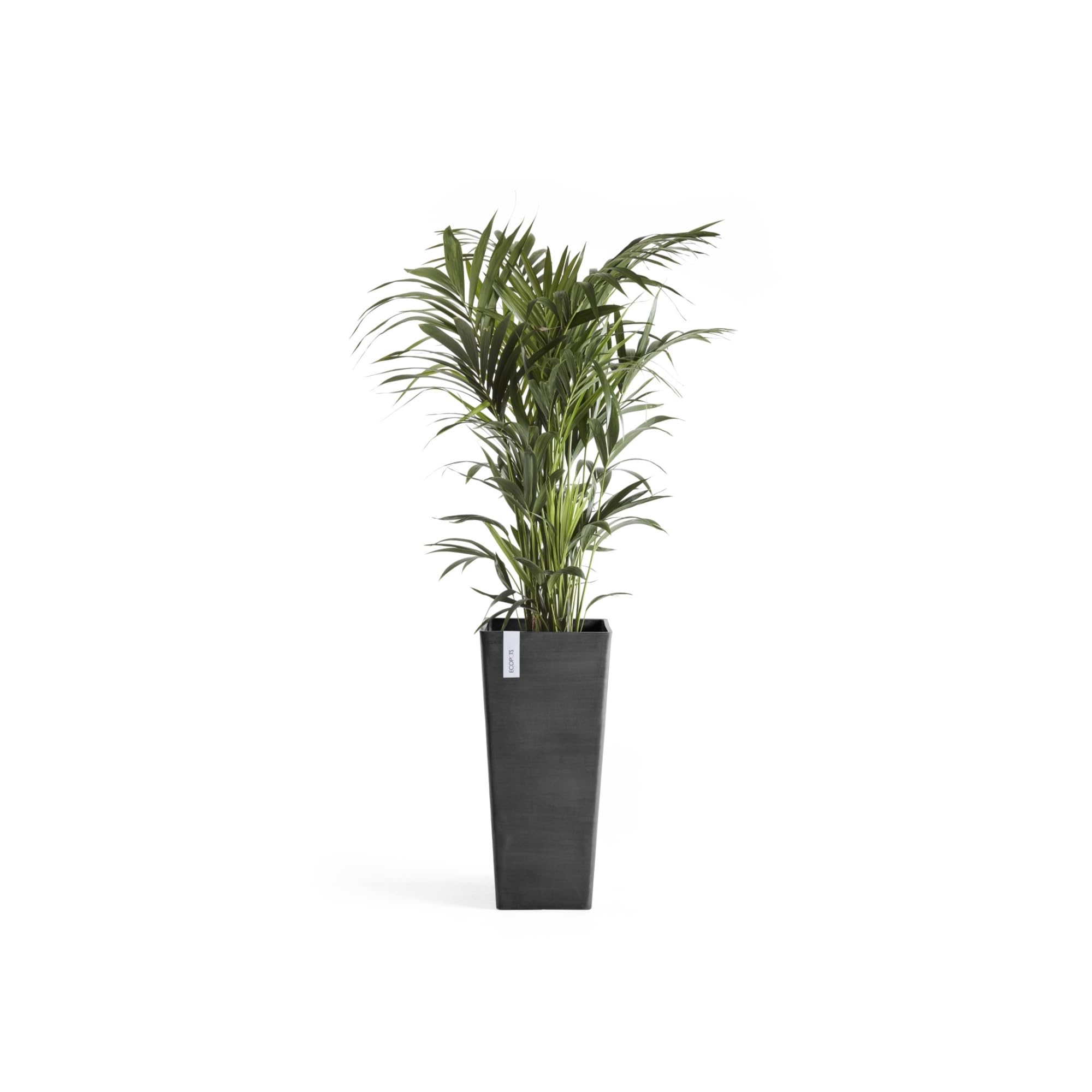 ecopots-rotterdam-pot-haut-70-cm-gris-fonc-42-l image 4