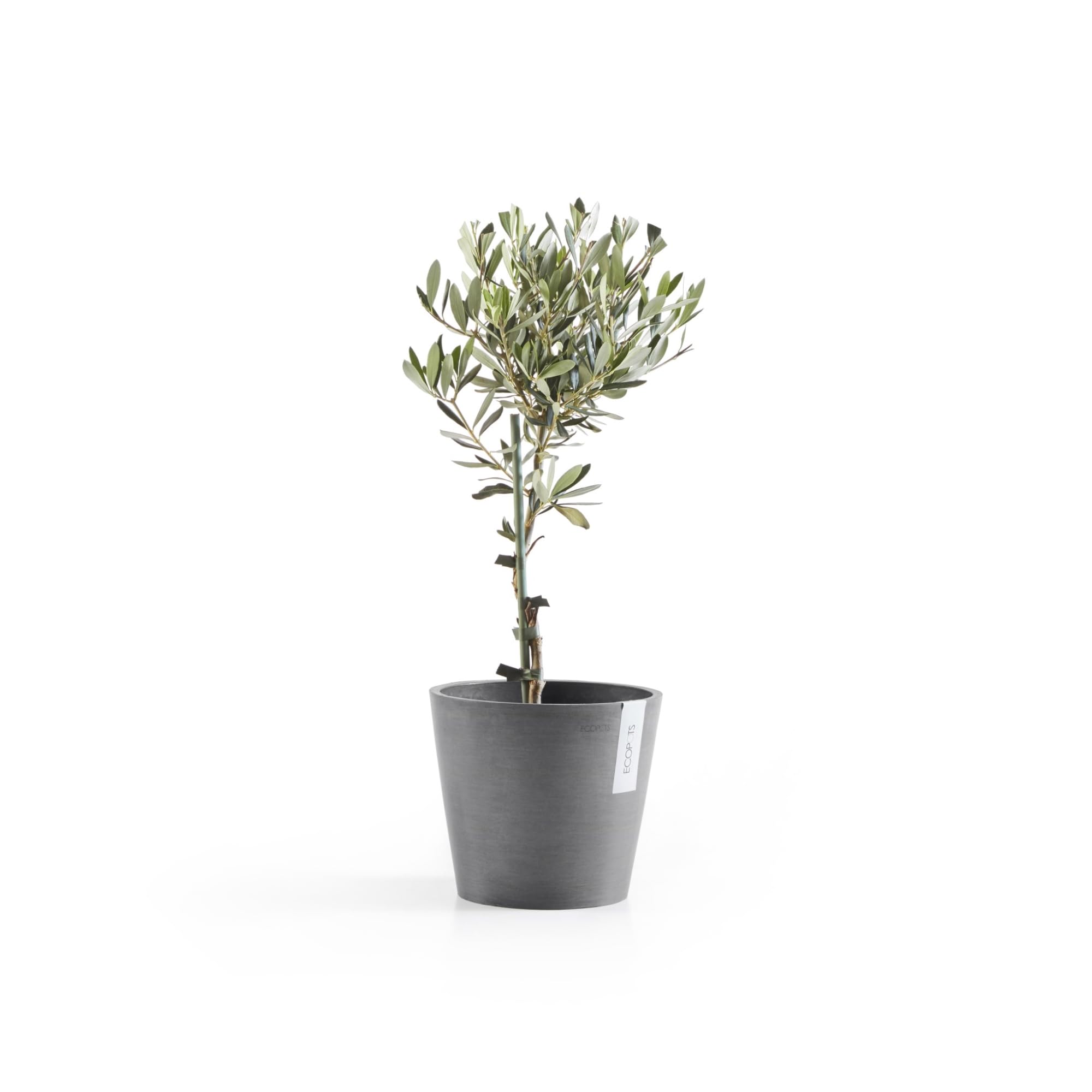 ecopots-amsterdam-20-cm-gris-pot-en-plastique-recycl image 5