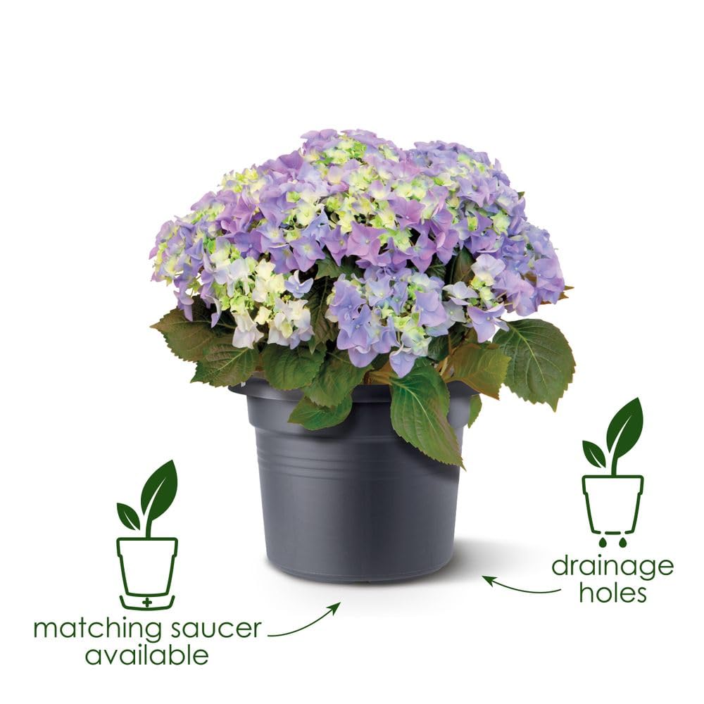 elho-green-basics-cilinder-35cm-pot-de-fleur-living-noir image 2