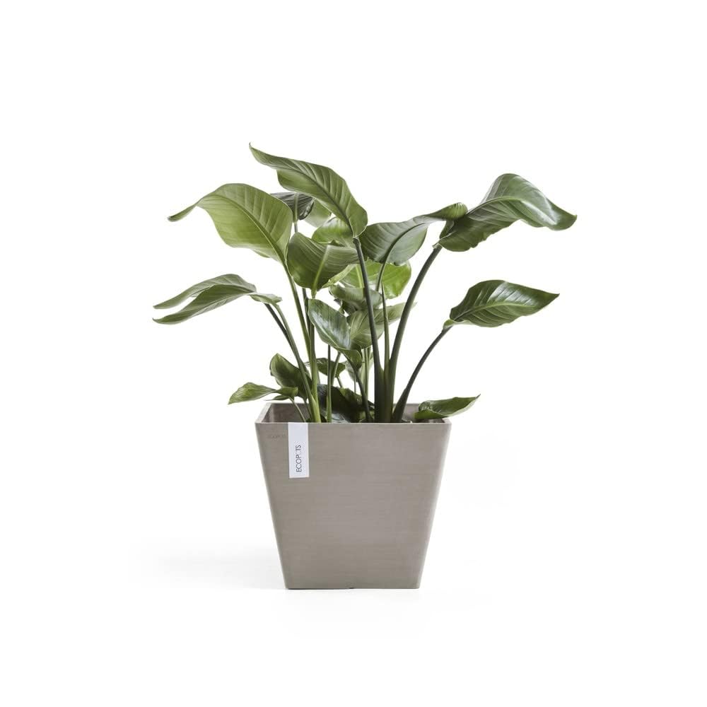 ecopots-rotterdam-pot-carr-50-cm-75-l-taupe image 1