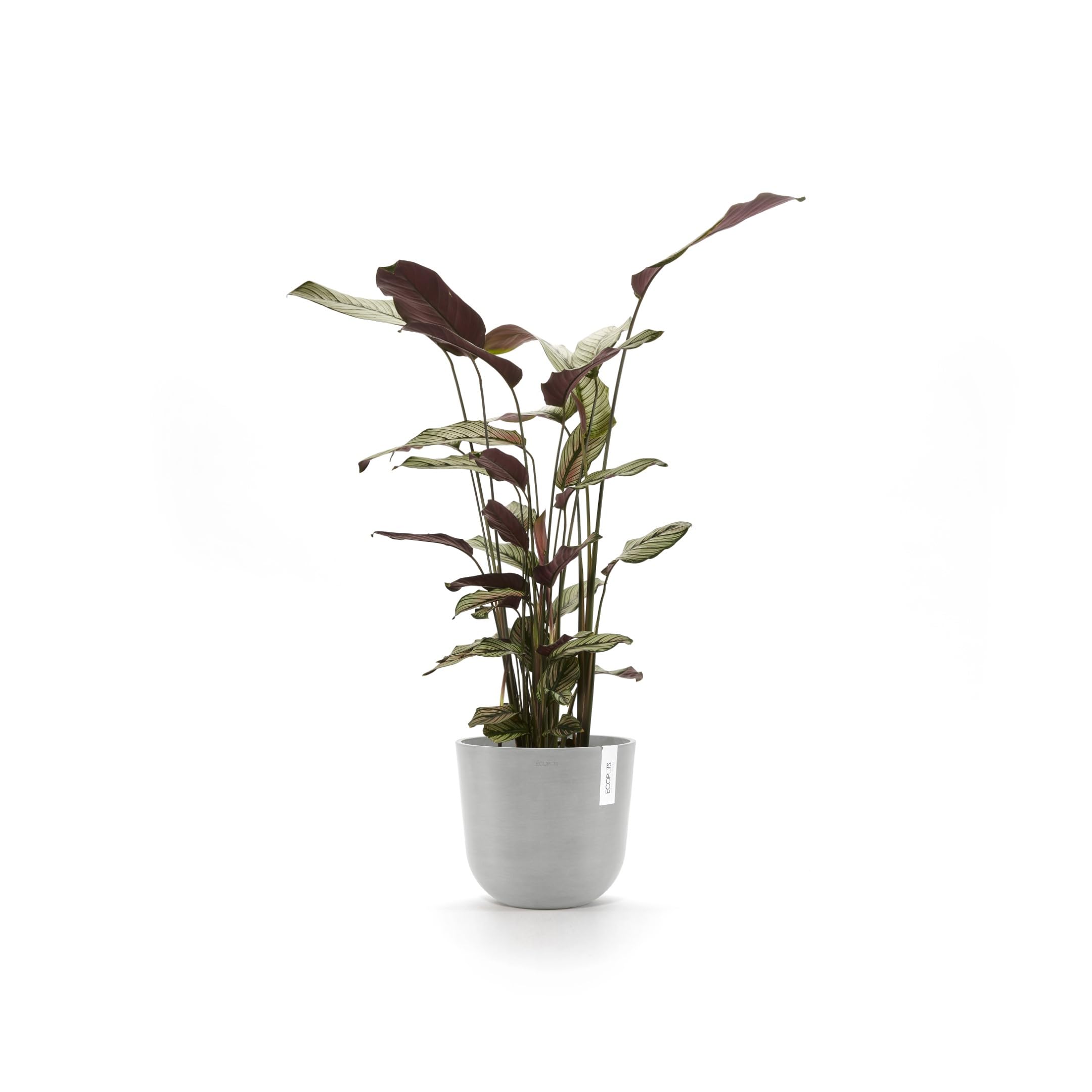 ecopots-oslo-25-pot-rond-blanc-gris-avec-r-servoir-d-eau-25-x-h-21-8-cm-7-7-l image 3