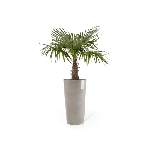 ecopots-amsterdam-mid-high-pot-haut-34-x-h-66-cm-int-rieur-ext-rieur image 8
