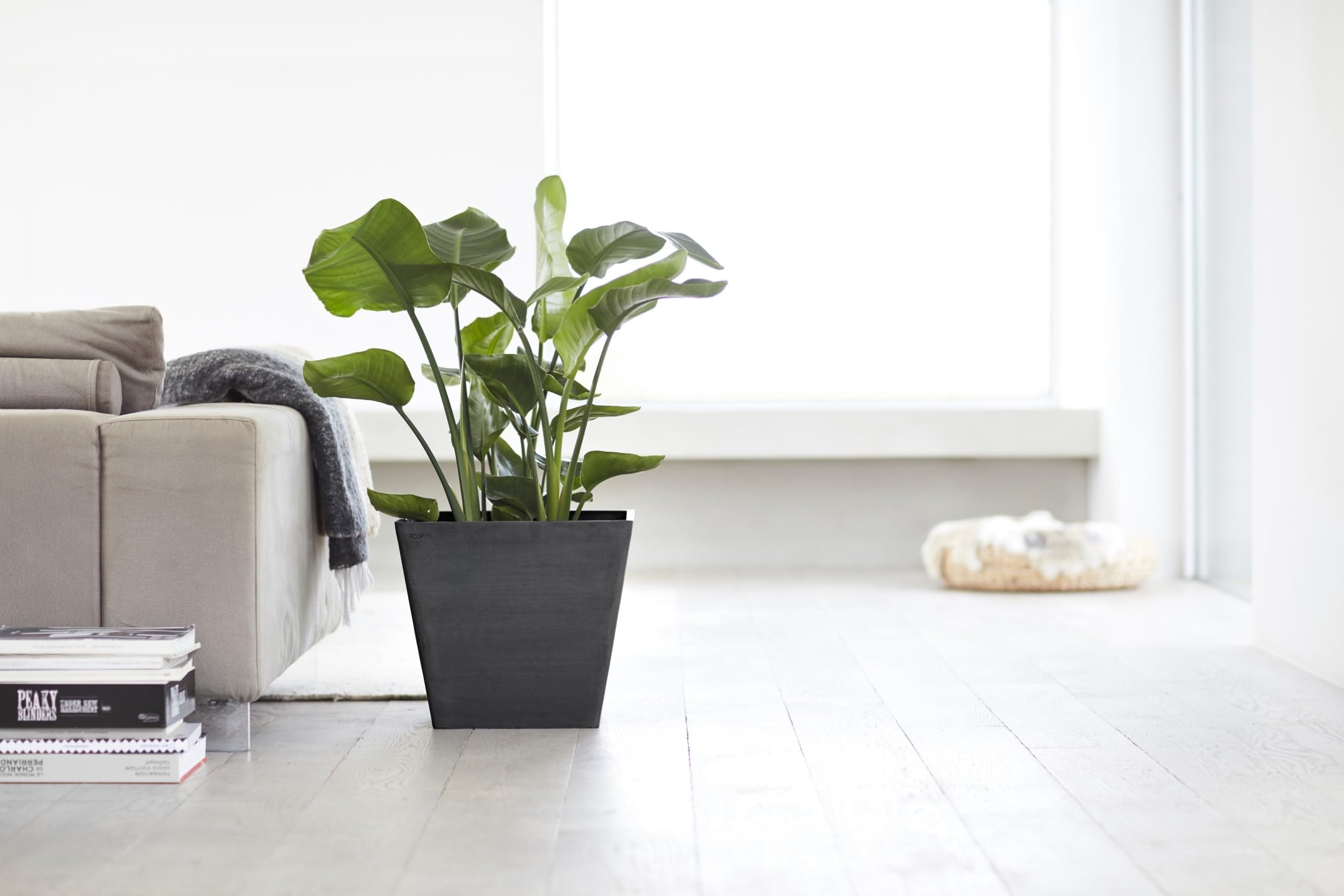 ecopots-rotterdam-pot-carr-50-x-50-cm-gris-fonc image 5