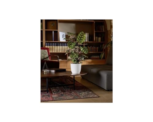 eda-cache-pot-opale-29-5-cm-blanc-ivoire image 7