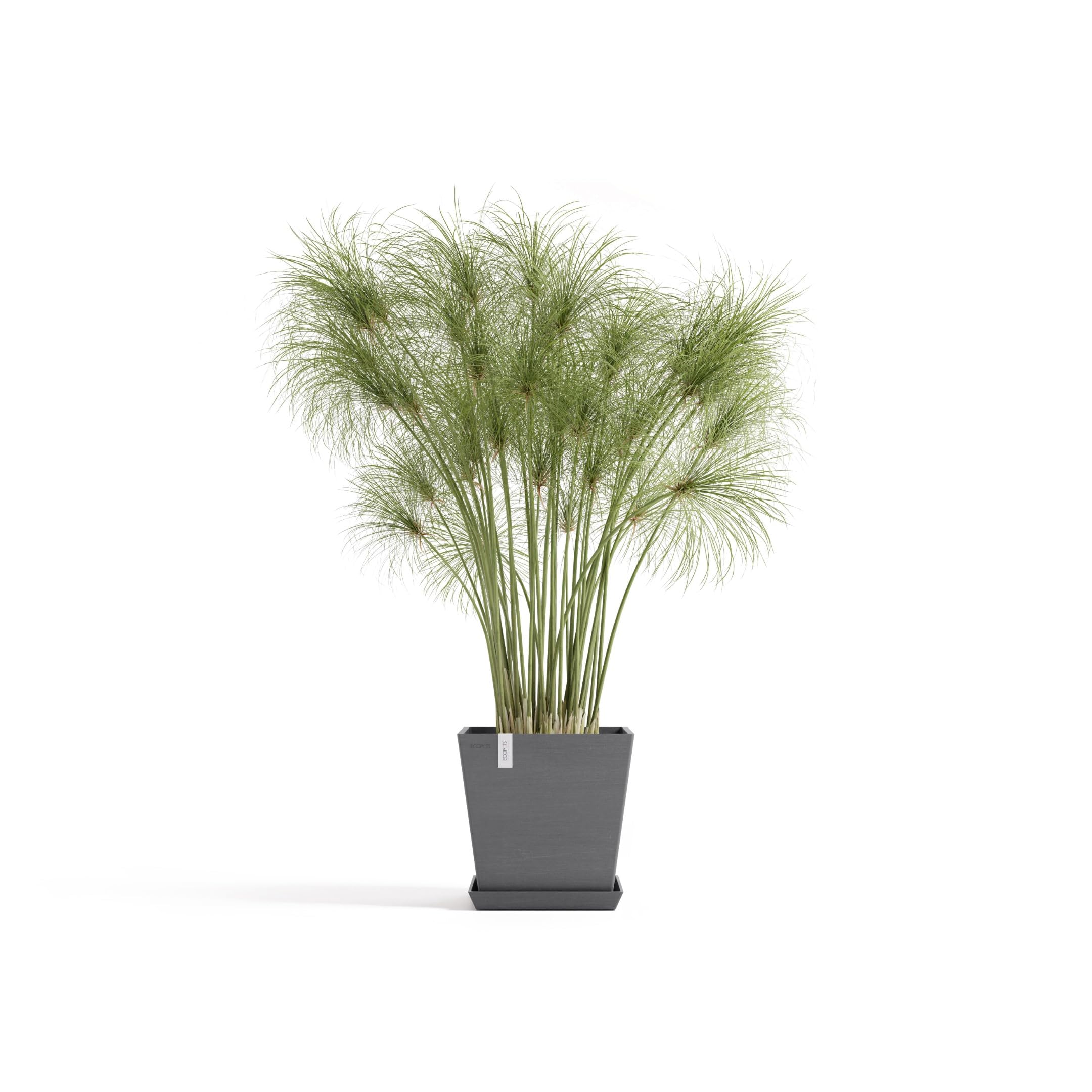 ecopots-rotterdam-pot-carr-25-gris-avec-r-servoir-d-eau-25-2-x-25-2-x-h-24-5-cm- image 4