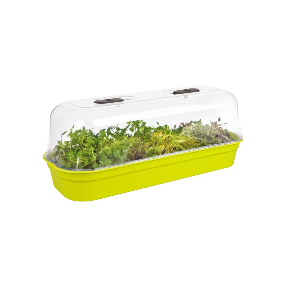 elho-green-basics-plateau-de-culture-51-cm-vert-lime-51-5-x-h-7-5-cm image 6