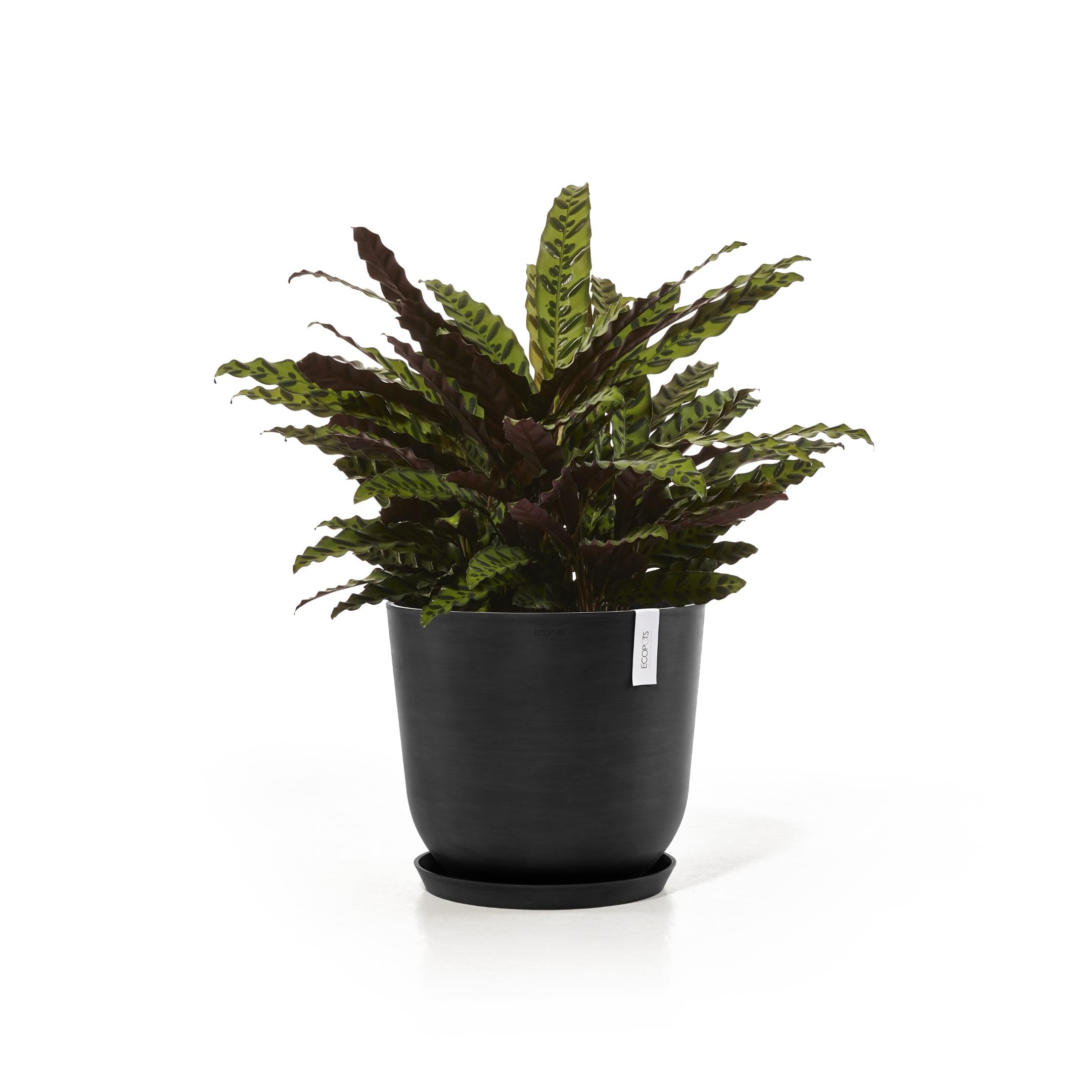 ecopots-pot-rond-oslo-45-gris-fonc-r-servoir-d-eau-45-x-h-39-2-cm-46-6-l image 7