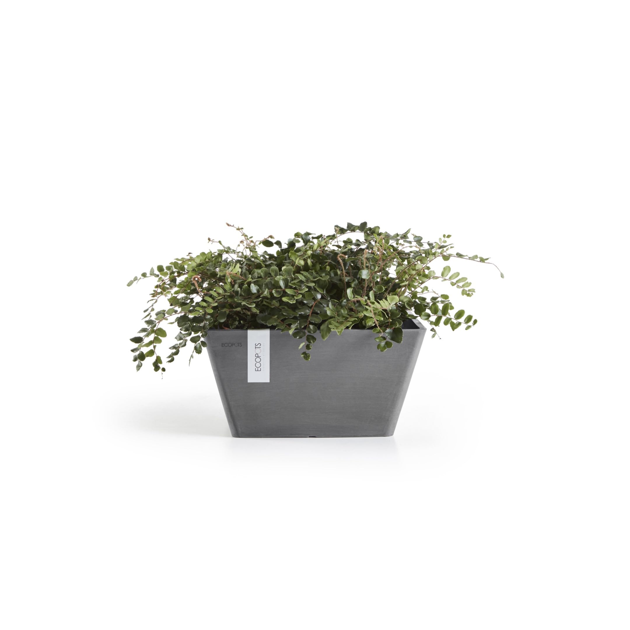 ecopots-berlin-pot-carr-gris-25-x-25-cm-pour-herbes image 2