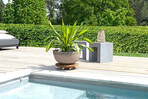 louis-moulin-roule-plante-bois-rond-45-cm-naturel-origine-france-garantie image 7
