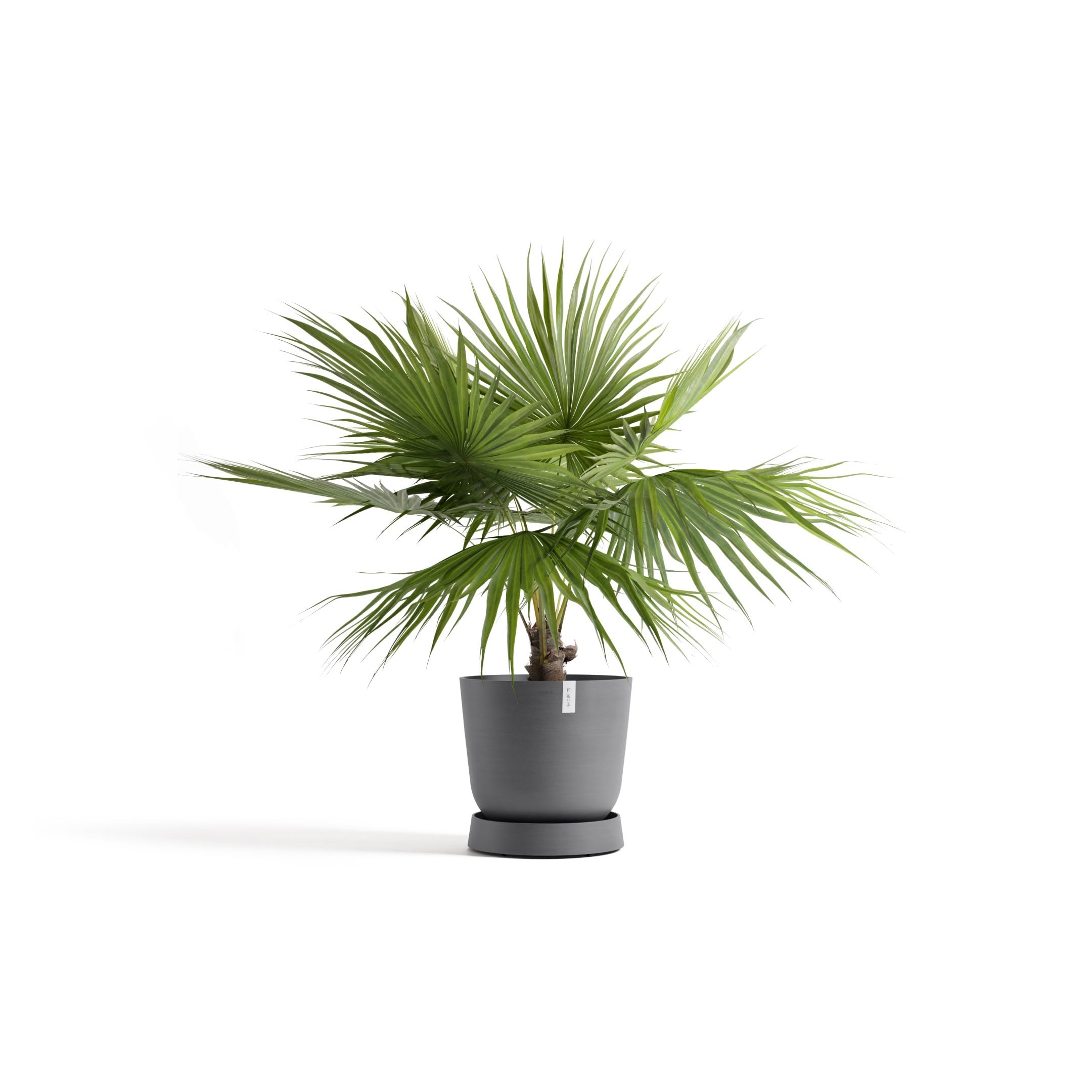 ecopots-wheels-oslo-55-support-roulettes-gris-50-x-h-10-5-cm image 3